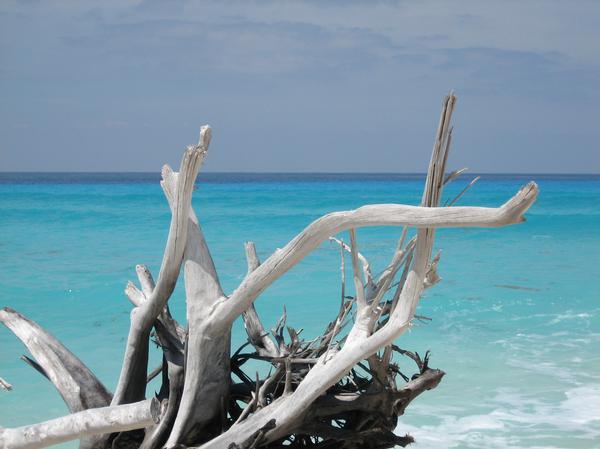 Surfing on Rum Cay, Bahamas